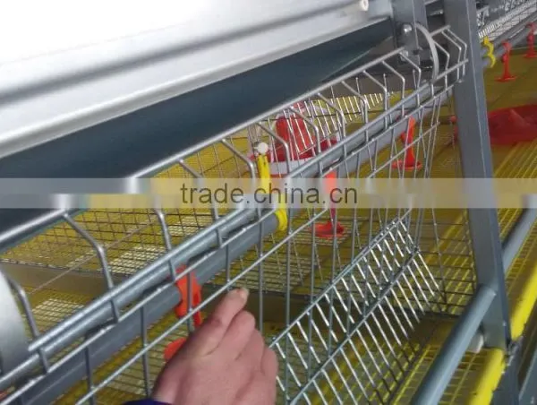 Poultry Equipment Broiler Cage photo-2