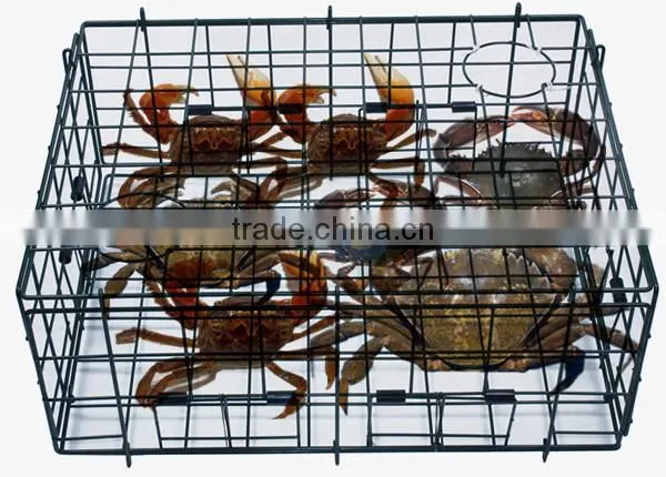 High Quality and Good Price Wire Fish Traps for Sale photo-4