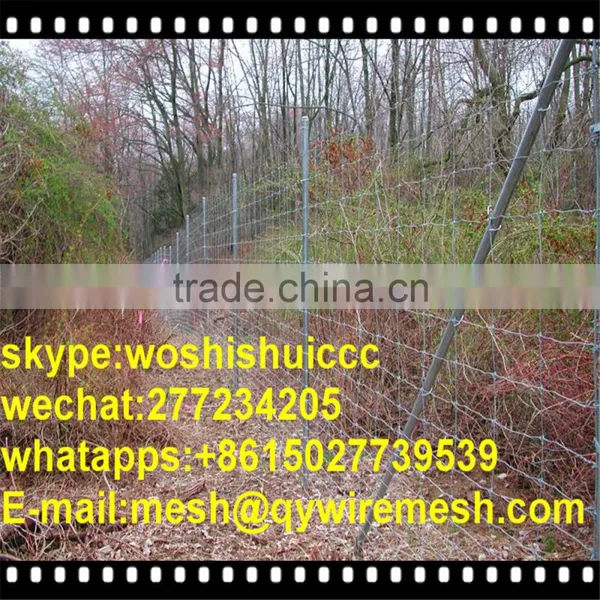 Hot Dip Galvanized Sheep and Goat Farming Fence photo-6