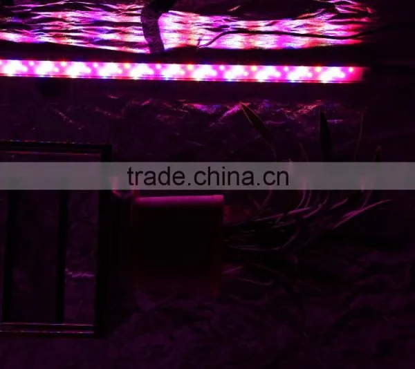MarsHydro Greenhouse Led Grow Light , MarsHydro LED Lights Grow Bar Led Lighting,hydroponique for Reselling Worldwide Shipping photo-2