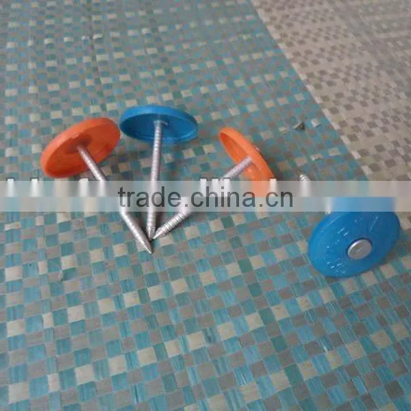 Torx Roofing Screw Nails With Plastic Caps China Supplier on Hot Sale photo-4