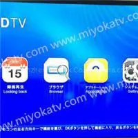HD Japanese Channels