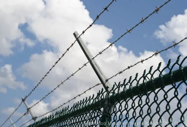 Hot Dipped Galvanized Weight Cheap Barbed Wire photo-3