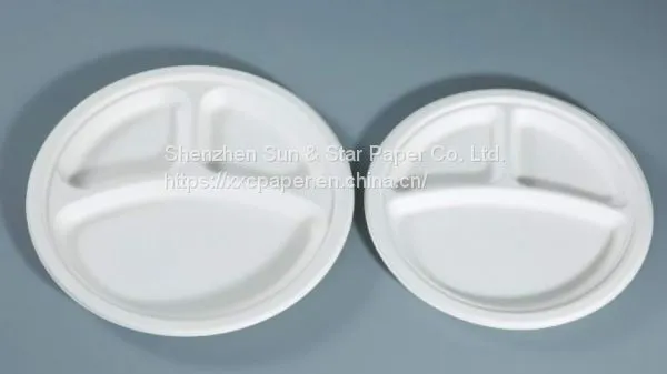 Compostable and Disposable 9 photo-2