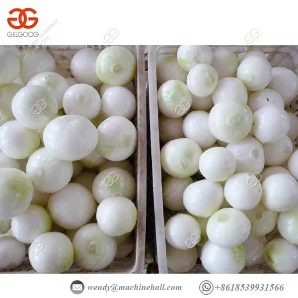Vegetable Processor Machine High Capacity Onion Skin Removing Machine photo-2