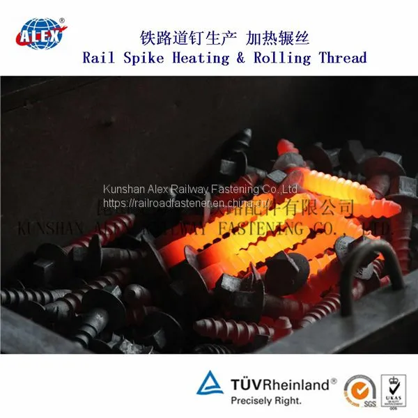 3V Sleeper Screw Spike According to NF F500-06 for Rail Fastening photo-4