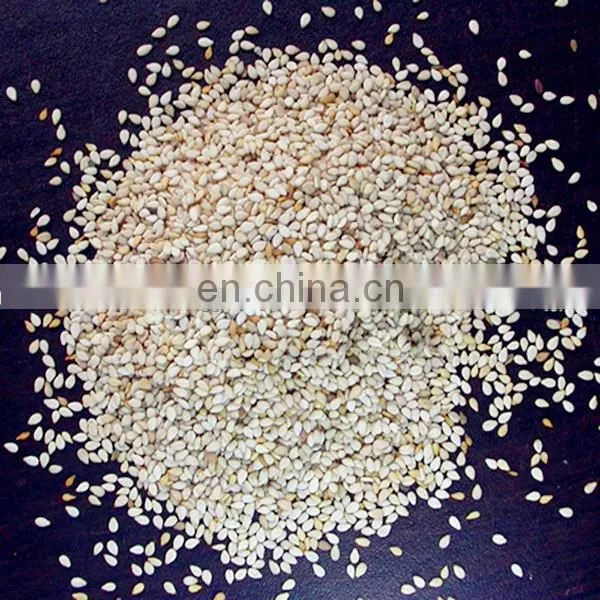 Specialized and Premium Quality Sesame Vegetable Seed Oil Press Machine Made in China Manufacture photo-4