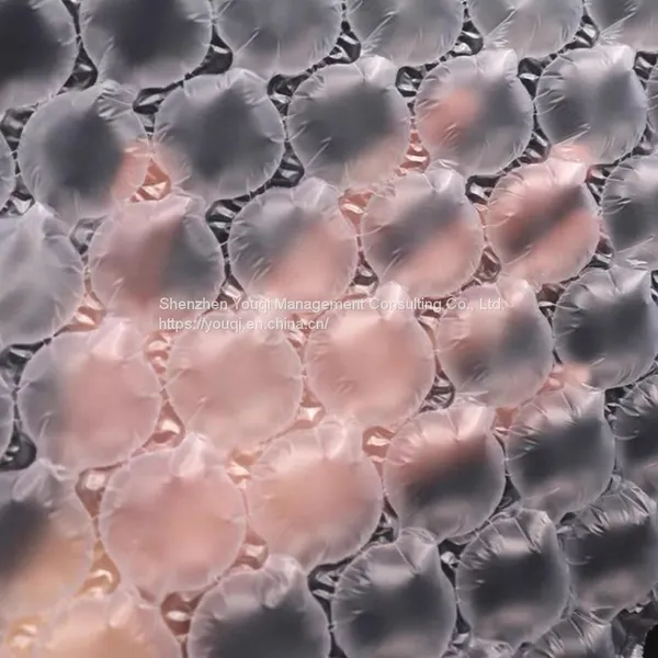 Carton Air Cushioned Bubble Wrapper/ Inflatable Protective Packing Film/ Customizable Bubble Film/ photo-3