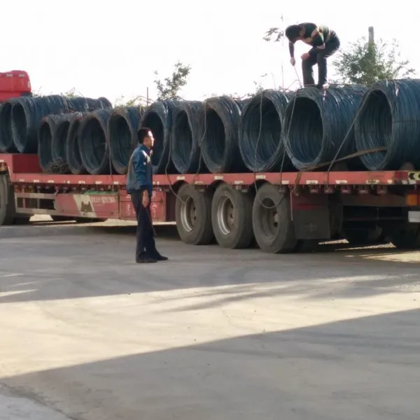 Electromagnetic Iron Wire Rod for Electric Motor Lamination Production photo-2