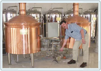 Copper Brewing System with Free Technical Support and Installation Guide
