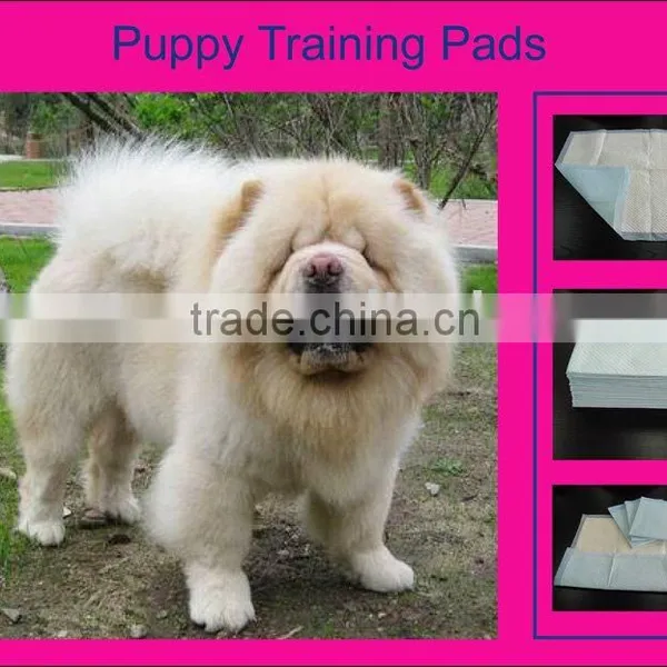 Pet Products, Pet Supply - High Absorption