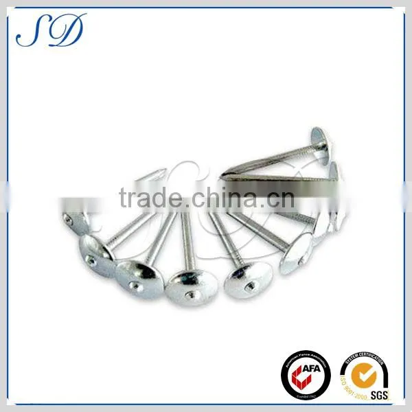 High Quality Nail From China Supplier photo-2