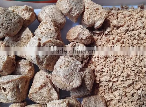 High Qualitysoya Chunk Tvp Machine Soya Twin Extruder/High Quality Soya Twin Extruder/Soya Twin Extruder photo-4