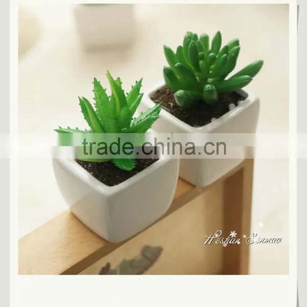 Natural Look Artificial Succulents Plant Mini Bonsai for Table Decor photo-3