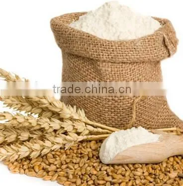 Premium Grade Wheat Flour With Competitive Price photo-4