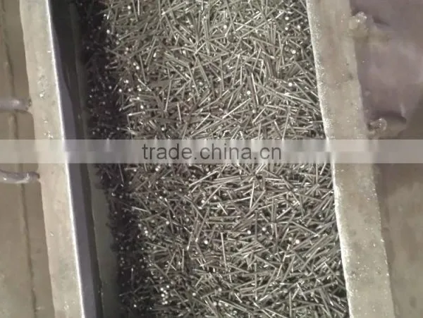 Galvanized Concrete Steel Nail photo-5