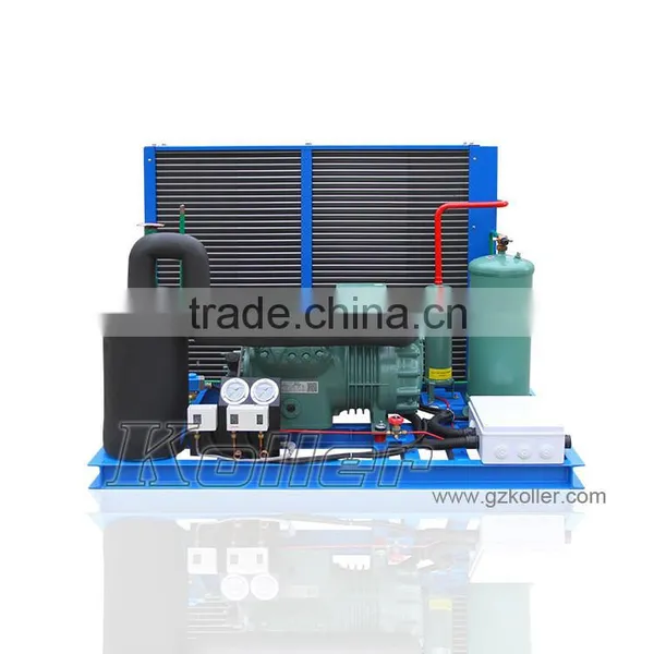 Refrigerated Container Meat Industrial Freezer 0~15(c) With Bizter Compressor photo-4