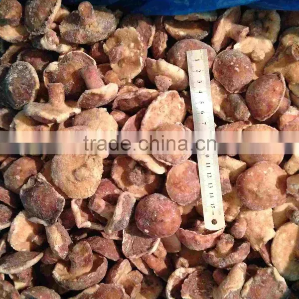 IQF Suillus Granulatus Mushroom 2016 New Crop photo-2