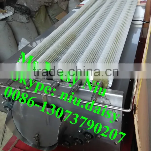 Automatic Fruit and Vegetable Brush Peeler photo-2