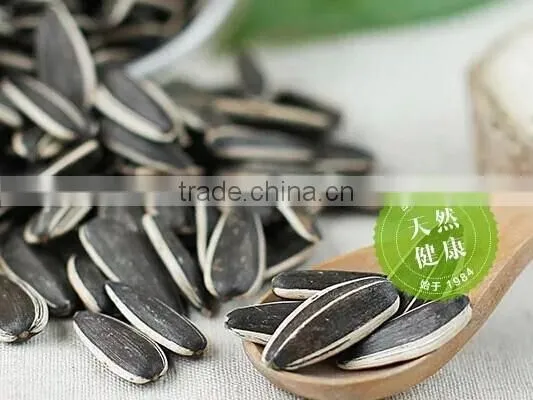 Free Samples Offered Wunflower Seeds Wholesale photo-3