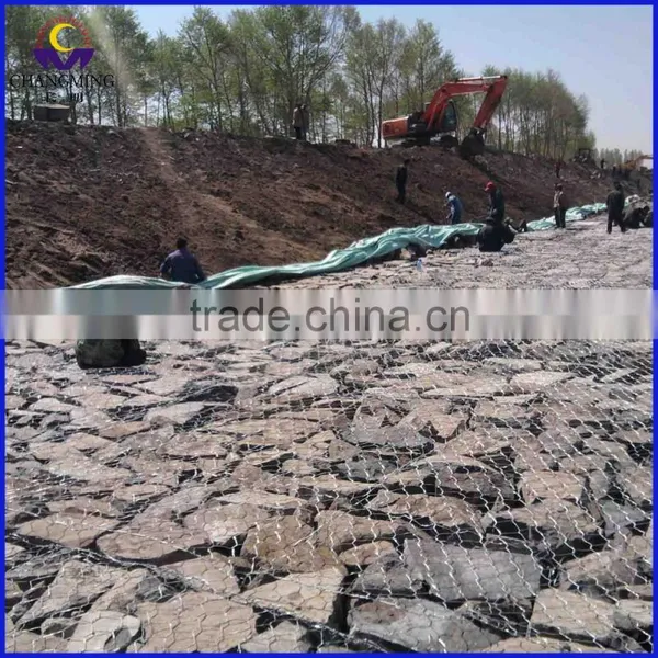 Hexagonal Wire Mesh/hexagonal Wire Gabion