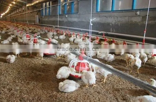 Goldenest Flex Feed Auger for Silo Poultry Feeding System Auger Feeder JCZY-AU03 photo-6