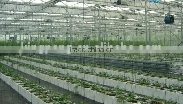 Greenhouse Farm for Sale photo-1