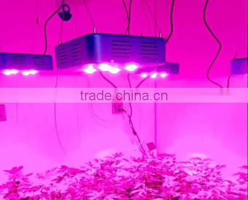Cob Grow Led Lights 300w Led Grow Light Full Spectrum for Medical Plants photo-6