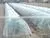 Best Price! Agricultural Garden Greenhouse Film for Export photo-3