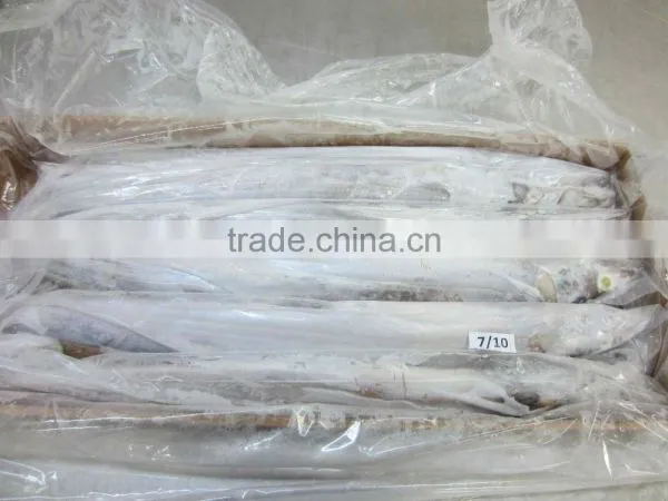 Frozen Belt Fish photo-5