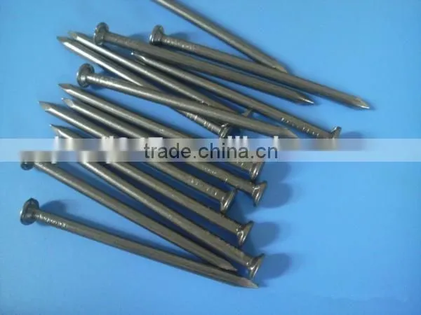 Iron Polishing Common Nail,zinc Plated Common Wire From China Factory photo-2