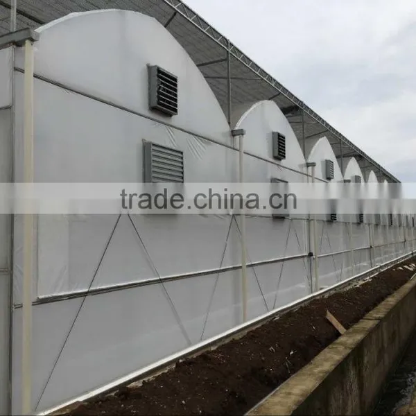 Commercial Multi Tunnel Plastic Film Greenhouse for Sale photo-4