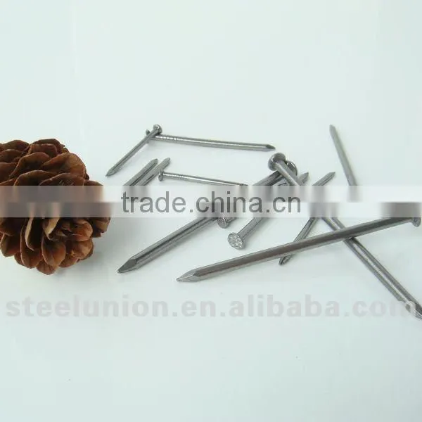 Common Wire Iron Nail for Africa Market photo-5