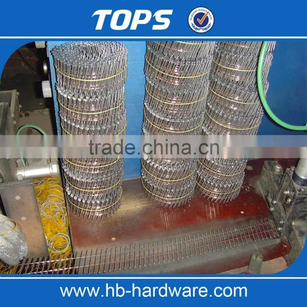 China Top Quality Pallent Coil Nail photo-4