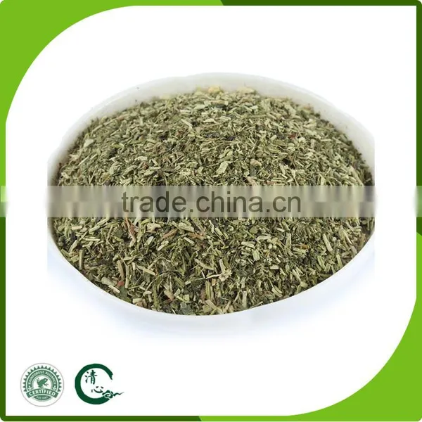 Refreshing Aroma Natural Fresh Green Tea photo-3
