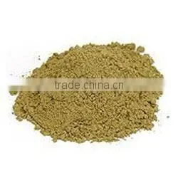 TINOSPORA CORDIFOLIA photo-2