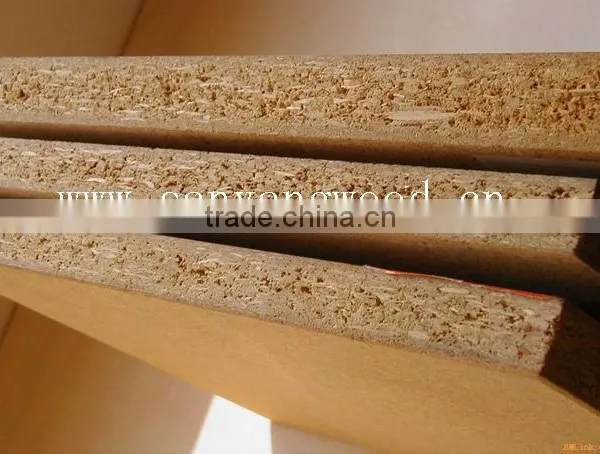 Particle Board photo-3