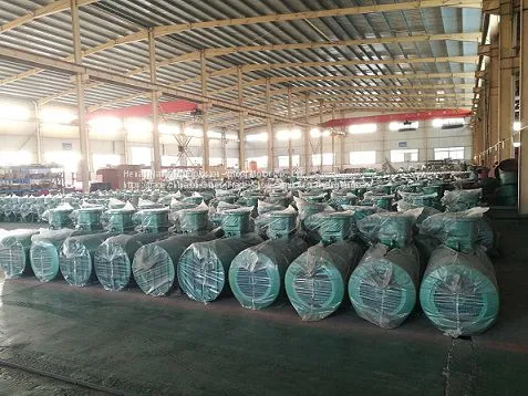 Rare Earth Permanent Magnet Synchronous Motor TYCX Series photo-3