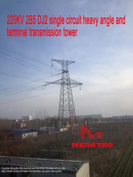 MEGATRO 220KV 2B5 DJ2 Single Circuit Heavy Angle and Terminal Transmission Tower photo-3