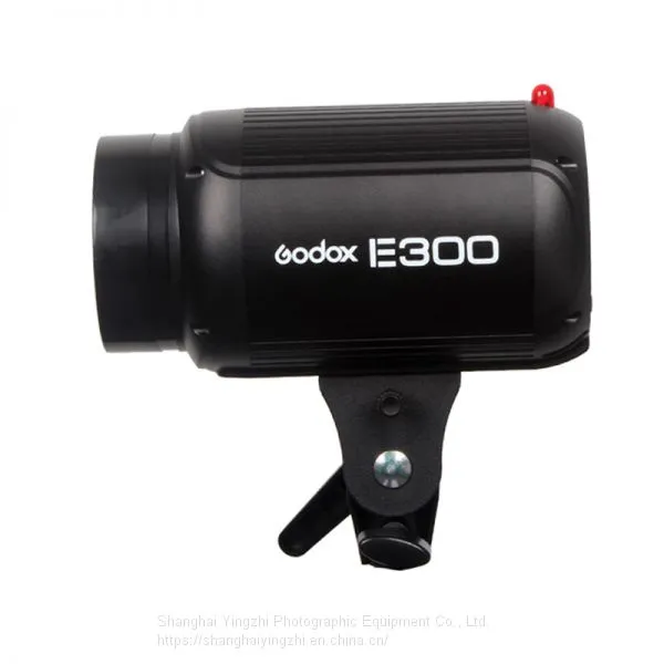 Godox E Series 300W Studio Flash for Photography(250WS Professional Studio Flash Light) photo-2