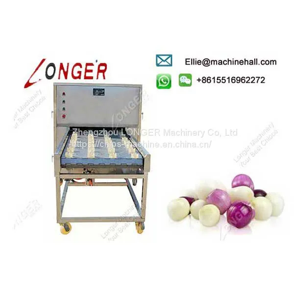 Commercial Stainless Steel Onion Root Cutting Machine Manufacturer photo-4