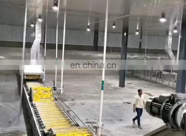 Automatic Food Processing Potato Frozen French Fries Production Line