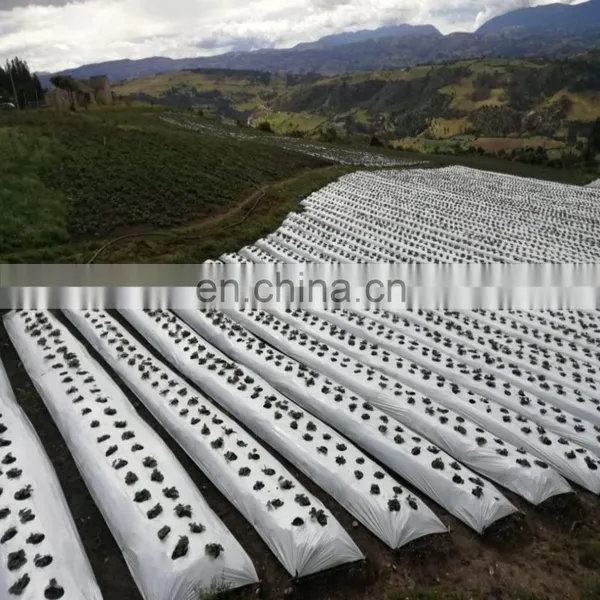 Customized pp Woven Ground Cover for Garden photo-5