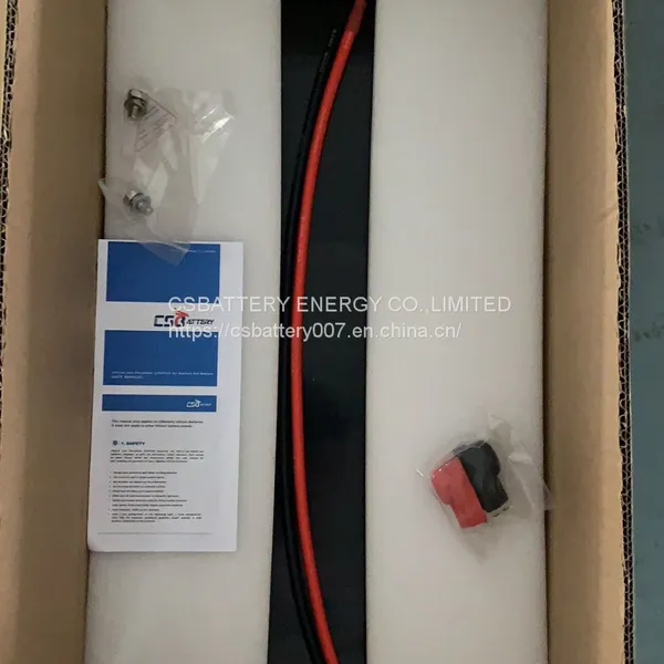 LFP12V200 photo-4