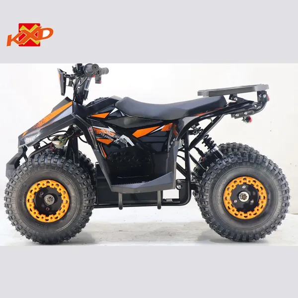KXD Moto Electric Atv Quad Bikes ATV-003E 48V 1000W off Load Vehicle photo-4