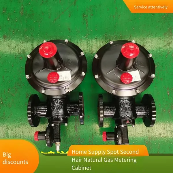 Industrial Natural Gas Pressure Regulation and Metering Cabinet, Yongmai Rtz-42/50g, Nominal Diameter Dn50 - 100, Easy to Maintain photo-2