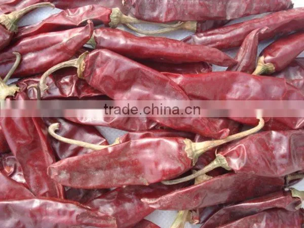 Dried Dry Hot American Red Chilli photo-2