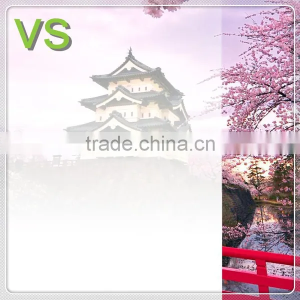 Decorative Eva Film for Laminated Glass Heating Film,gradation Window Fim photo-4