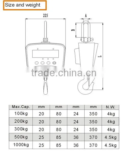 Crane Scale 3000 photo-6