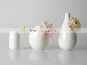 Diatomaceous earth for cosmetics